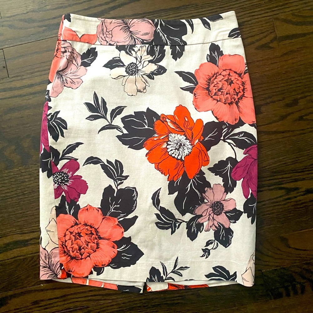 Ann Taylor Pencil Skirt